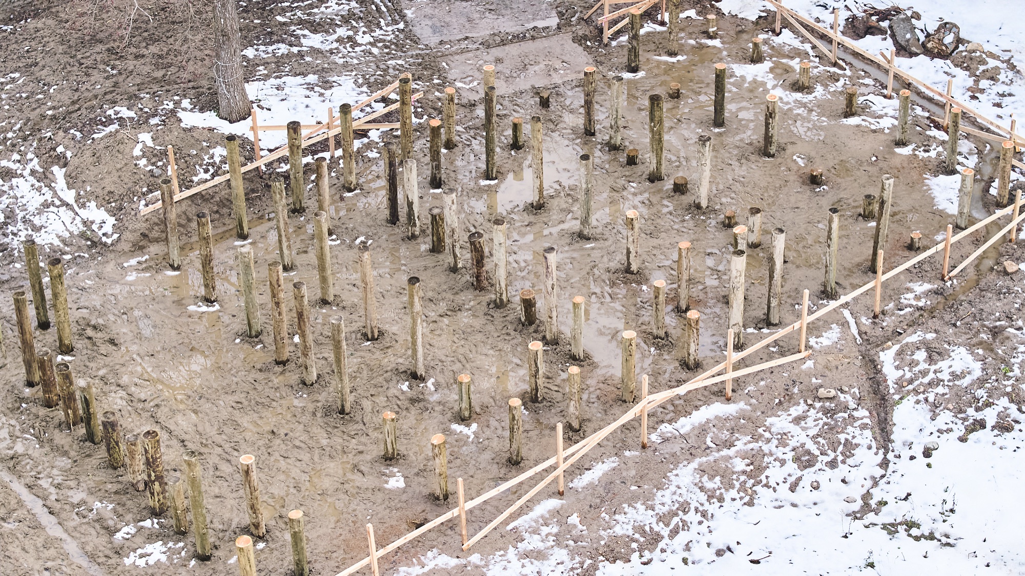 An aerial view of one hundred and five wooden piles driven into the frozen, snow-streaked ground — the foundation, with no concrete. / 雪の残る凍てついた地面に打ち込まれた、105本の木の杭の俯瞰。コンクリートを使わない基礎。