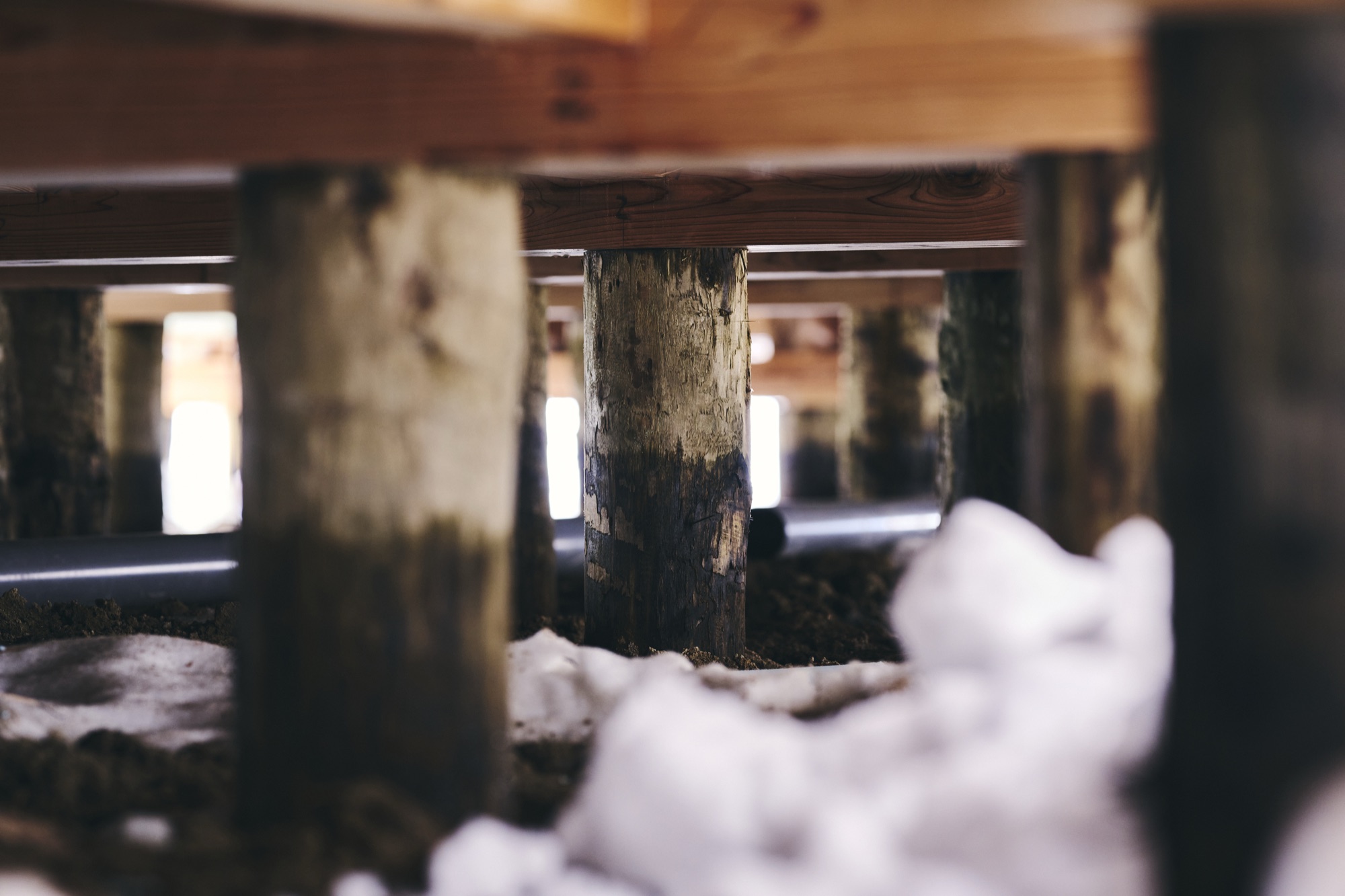 Beneath the building — rows of wooden piles in the earth, snow at their feet, the structure resting on the friction of timber and soil. / 建物の床下。土に立つ木の杭の列、足元には雪。木と土の摩擦の上に建つ。